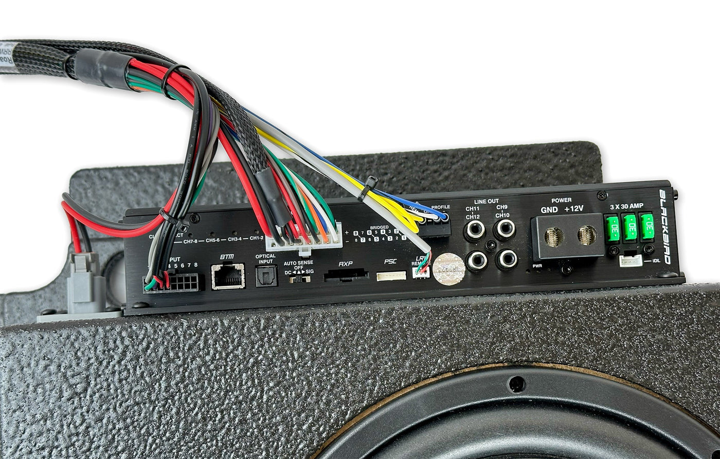 Roamrig 8" Beatbox Blackbird for Tiffin Open Trail