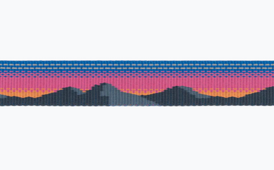 Ruffwear Crag EX Leash