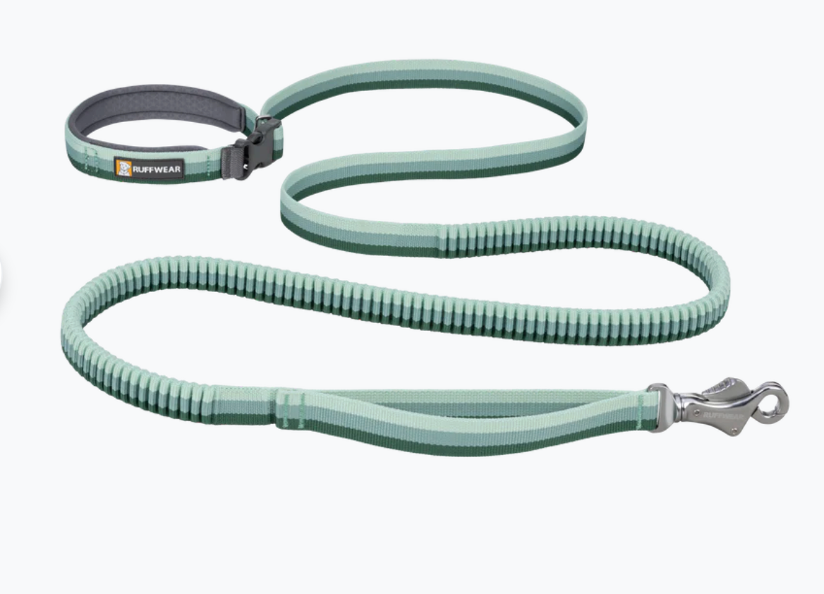 Ruffwear Roamer Leash