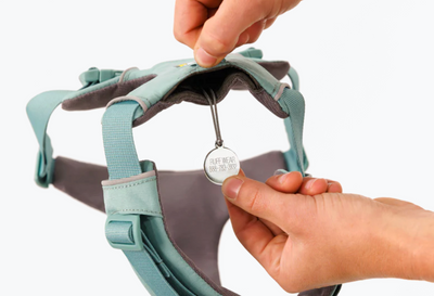 Ruffwear Front Range Harness